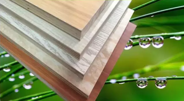 QQ图片20160904152516