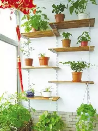 QQ图片20160906143611